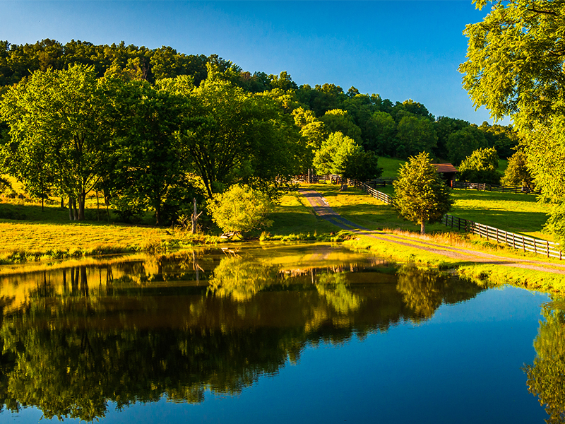 Laura Schwartz - Realtor in Vienna, VA (2)