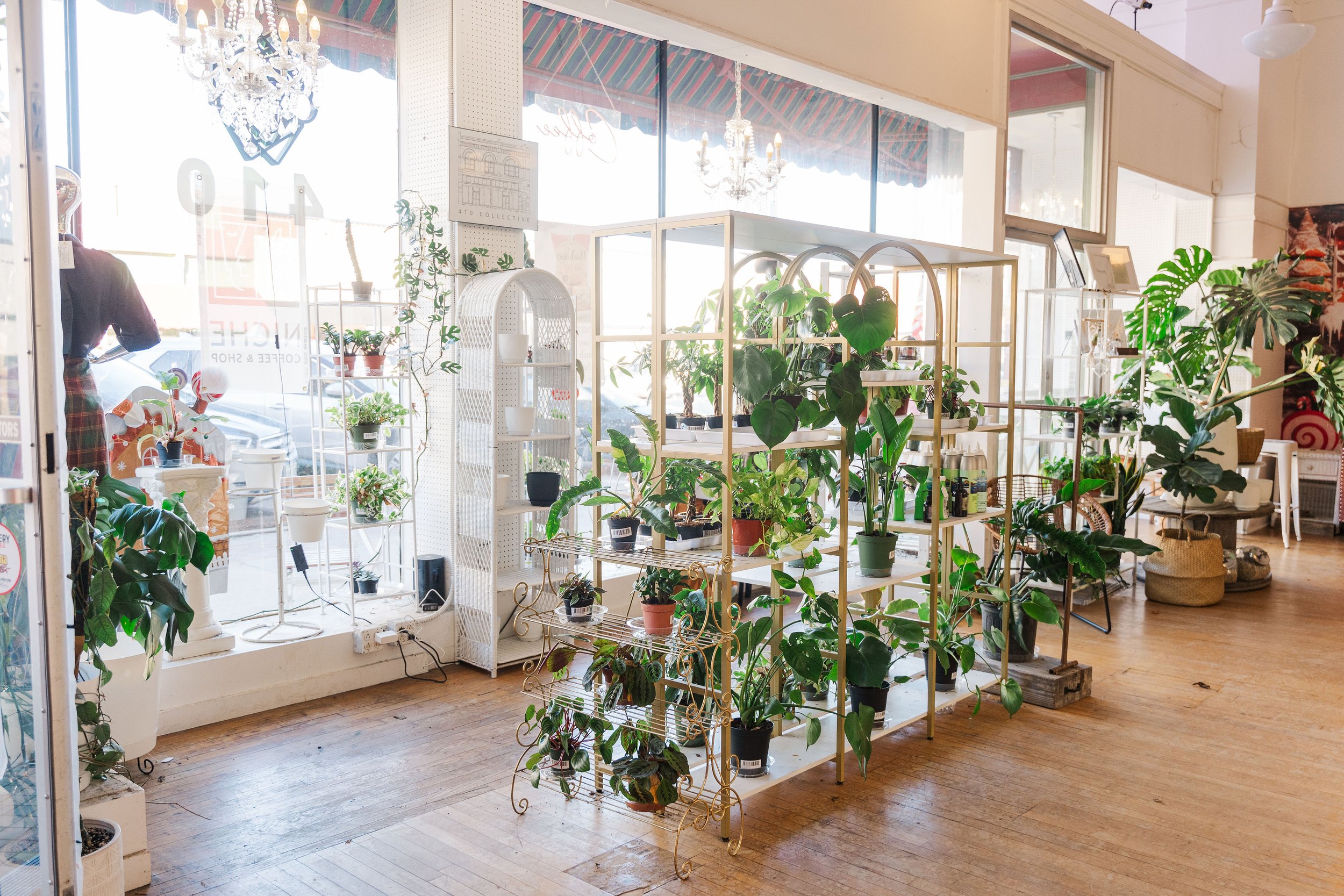 410 Niche Coffee & Shop in Denison, TX (2)