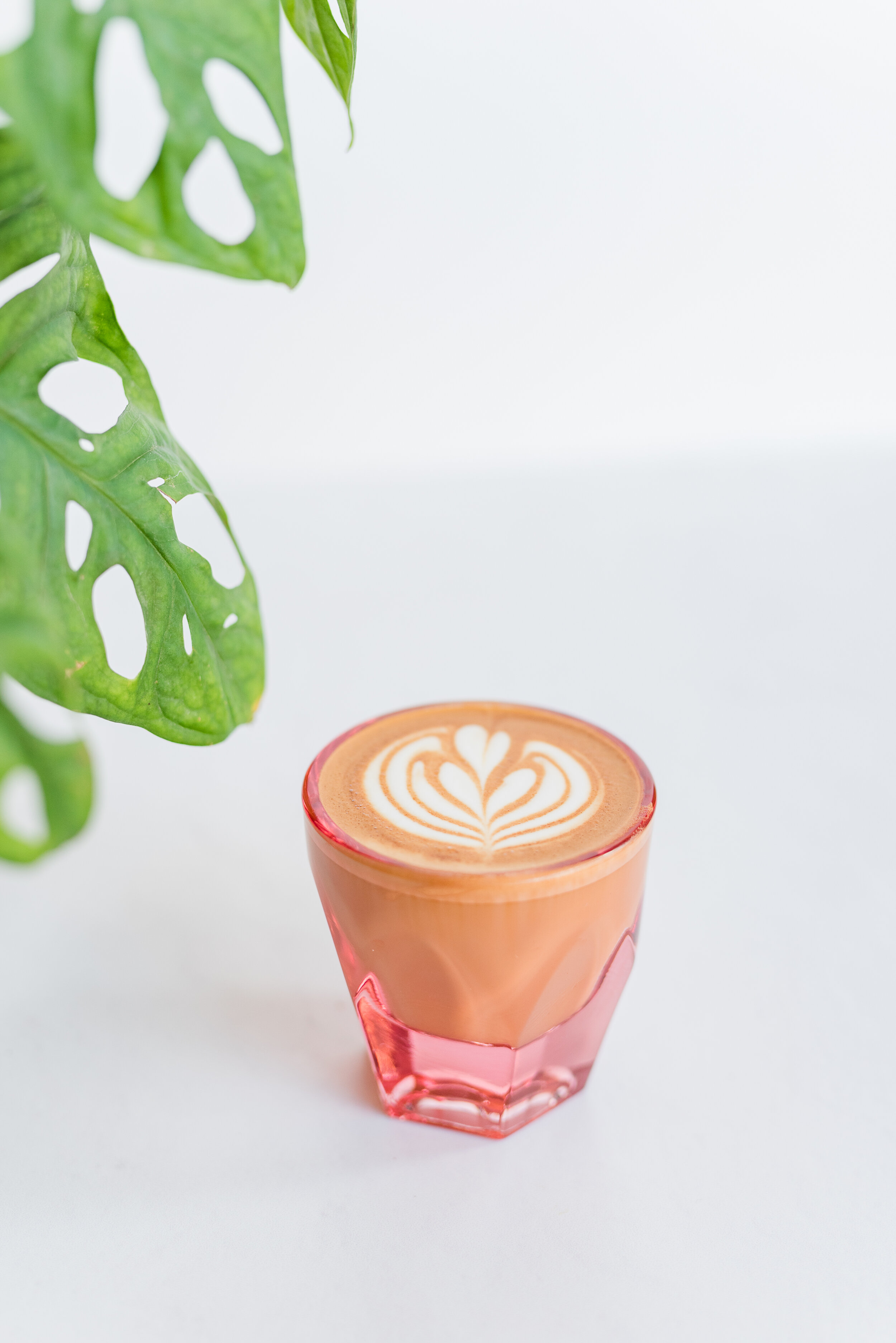 410 Niche Coffee & Shop in Denison, TX (3)