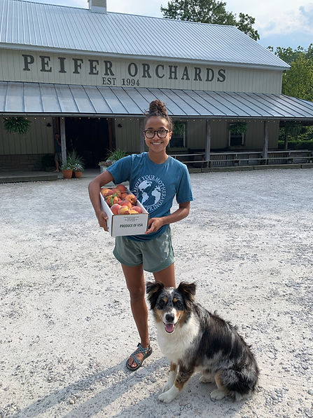 Peifer Orchards in Yellow Springs, OH (3)