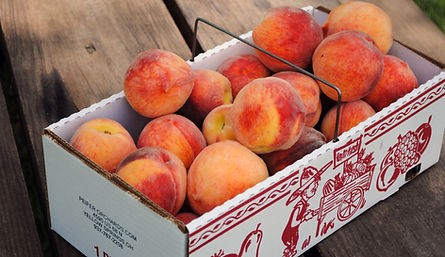 Peifer Orchards in Yellow Springs, OH (6)