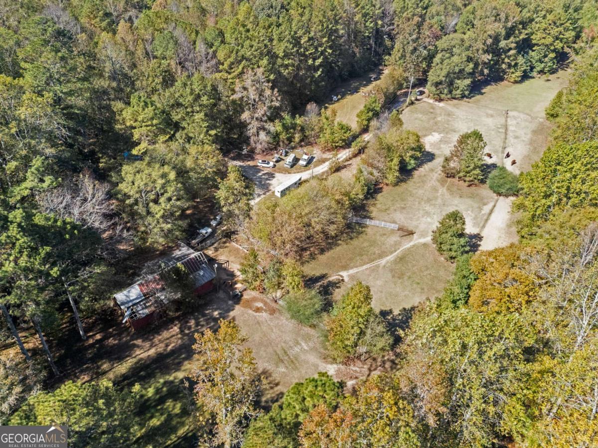 Debra Johnston | Coldwell Banker Realty in Atlanta, GA (2)