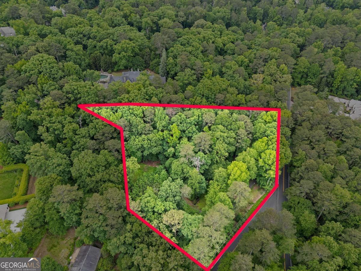 Debra Johnston | Coldwell Banker Realty in Atlanta, GA (3)