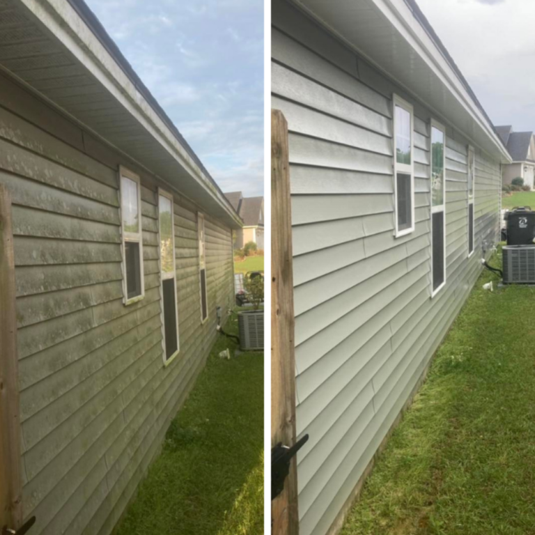 Customary Professionals in Valdosta, GA (4)