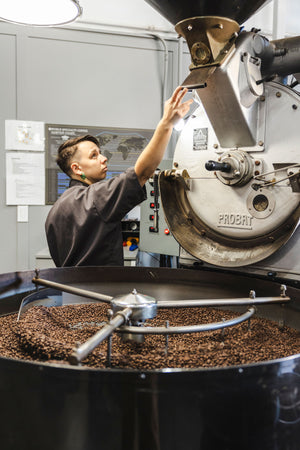 Avid Coffee in Santa Rosa, CA (5)