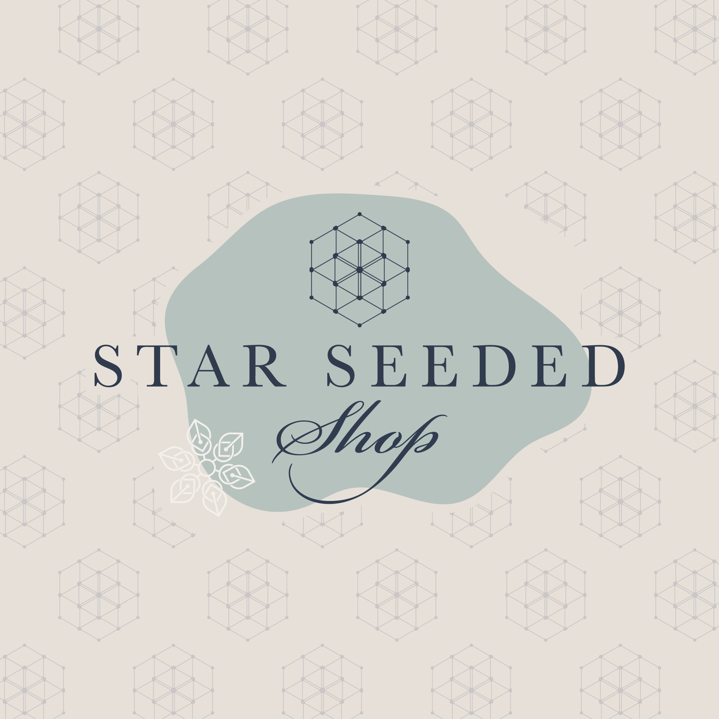 Star Seeded Shop in Clyde, NC (2)