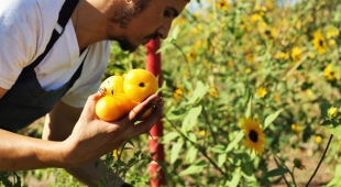 Heirloom LA in Los Angeles, CA (4)