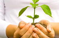 Cashwell Accounting Inc in Clermont, FL (3)
