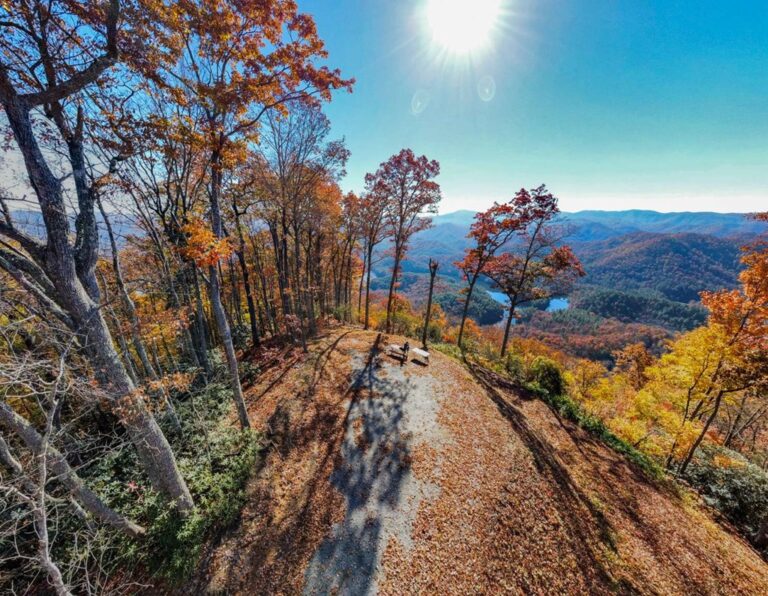 The Autumn Ritz Team RE/MAX Town & Country Murphy in Murphy, NC