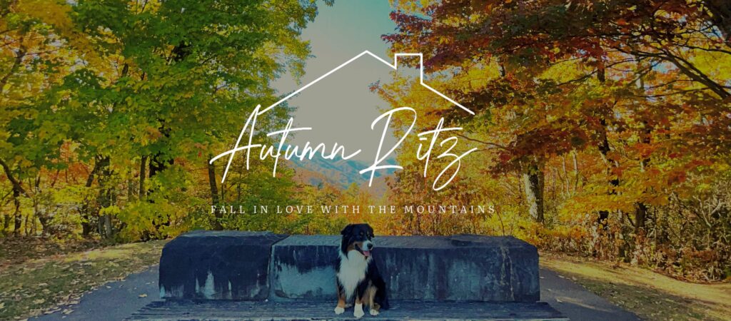 The Autumn Ritz Team RE/MAX Town & Country Murphy in Murphy, NC (2)