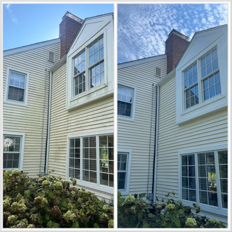 Wicked Clean LLC in Woolwich, NC (2)