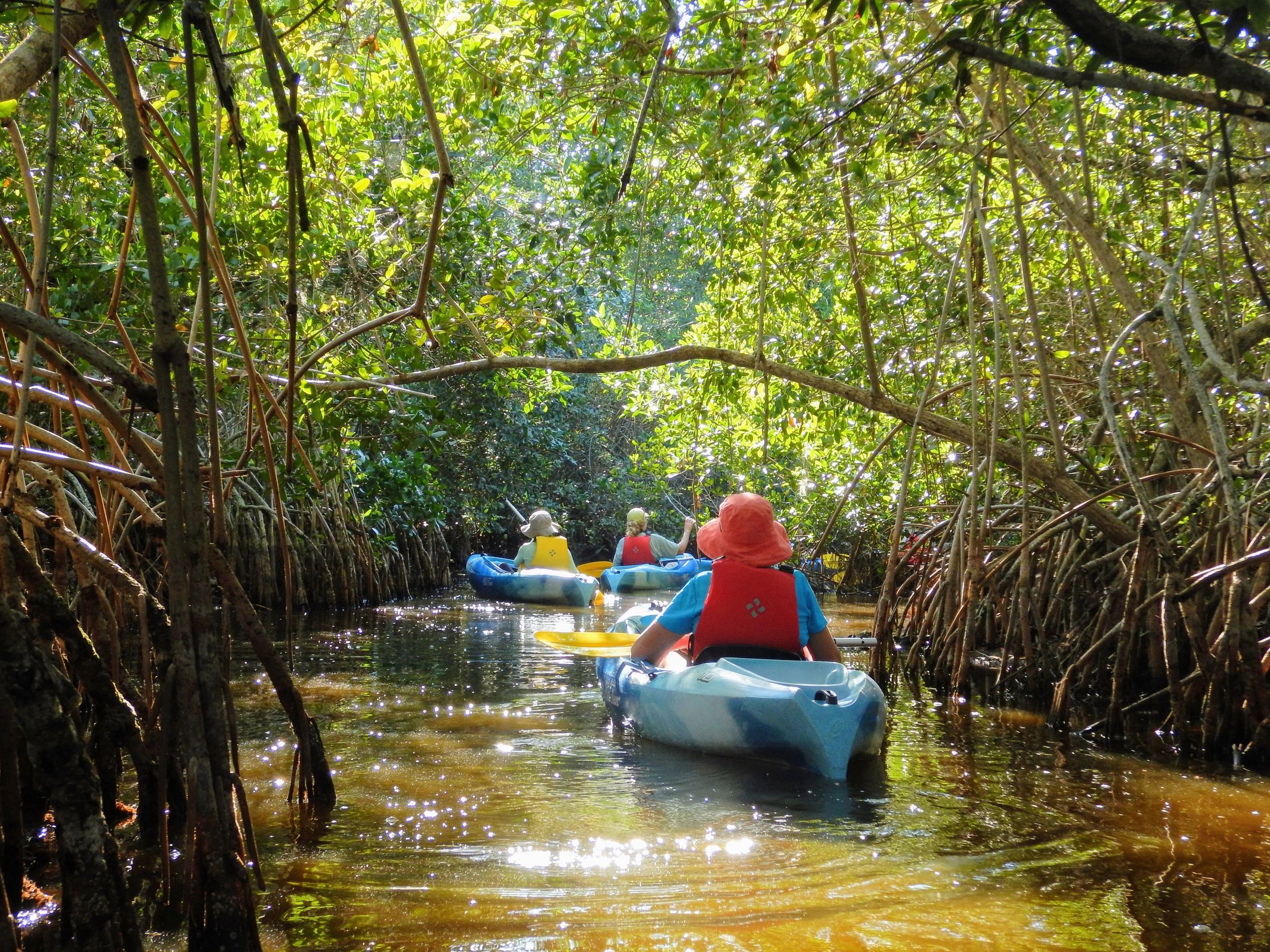 Jenny's Eco Everglades Wilderness Tours in Everglades City, FL