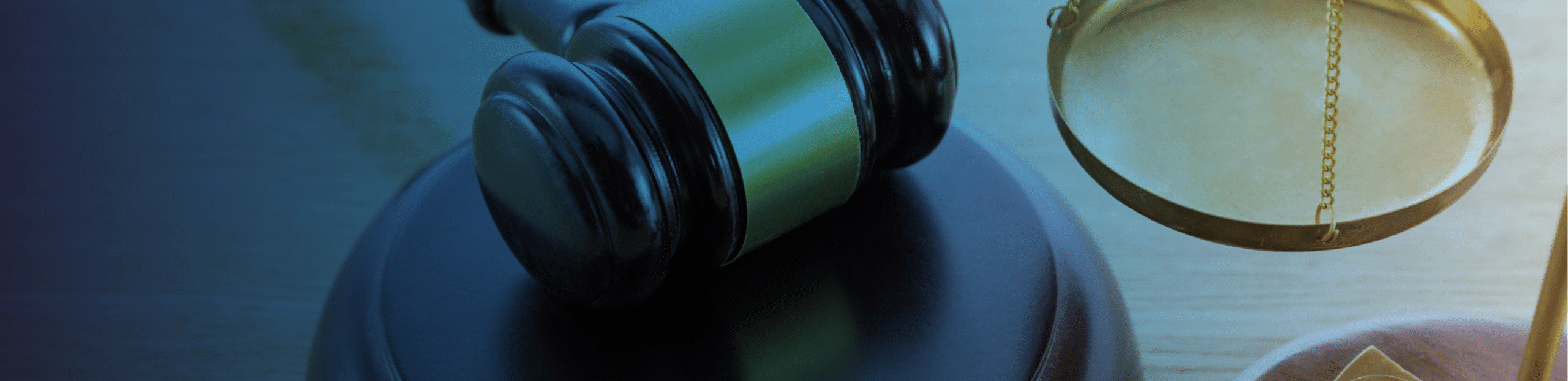 Weinstock Immigration Lawyers in Atlanta, GA