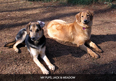 The Firm of Dawn M. Jones, LLC in Mableton, GA (2)