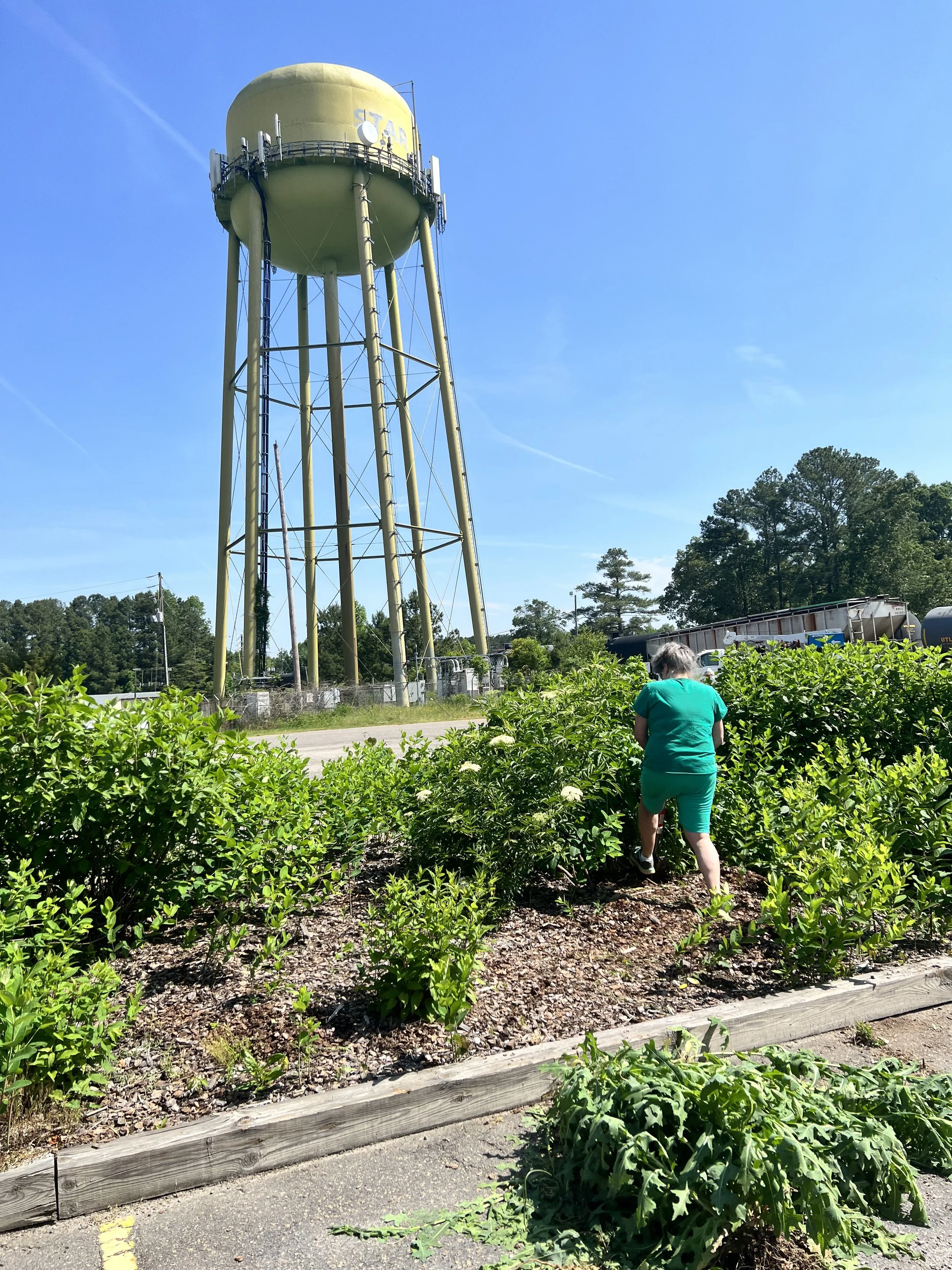 Starworks Cafe & Taproom in Star, NC (3)