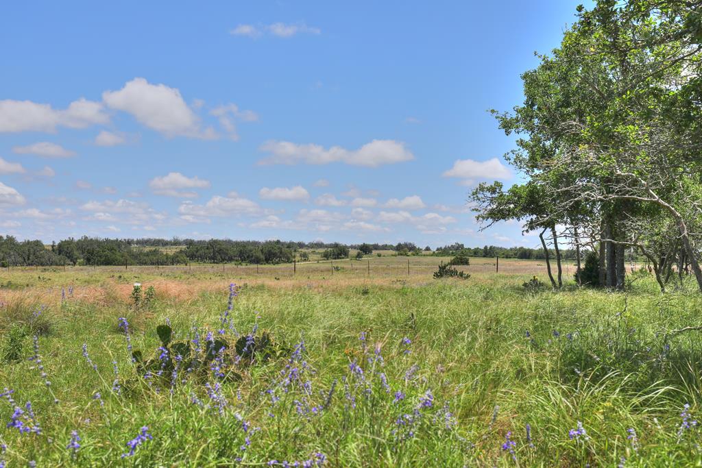 CC Herber Co. Real Estate in Fredericksburg, TX (2)