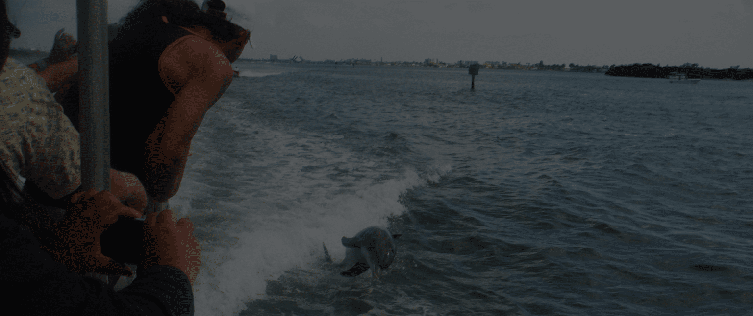 Hubbard's Marina in Madeira Beach, FL (4)