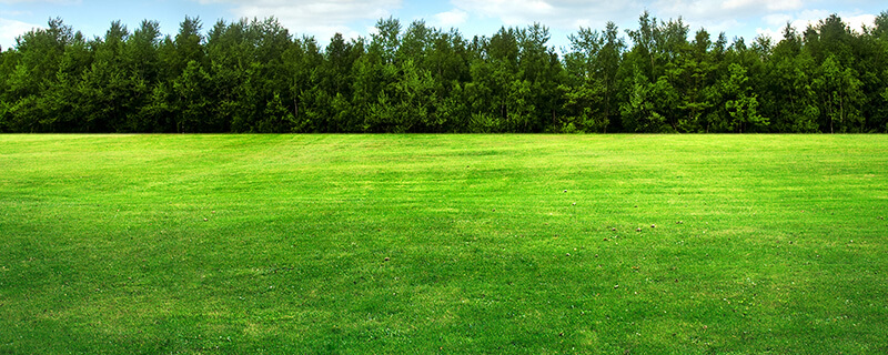 APC Real Estate Group, LLC in Mossy Head, FL