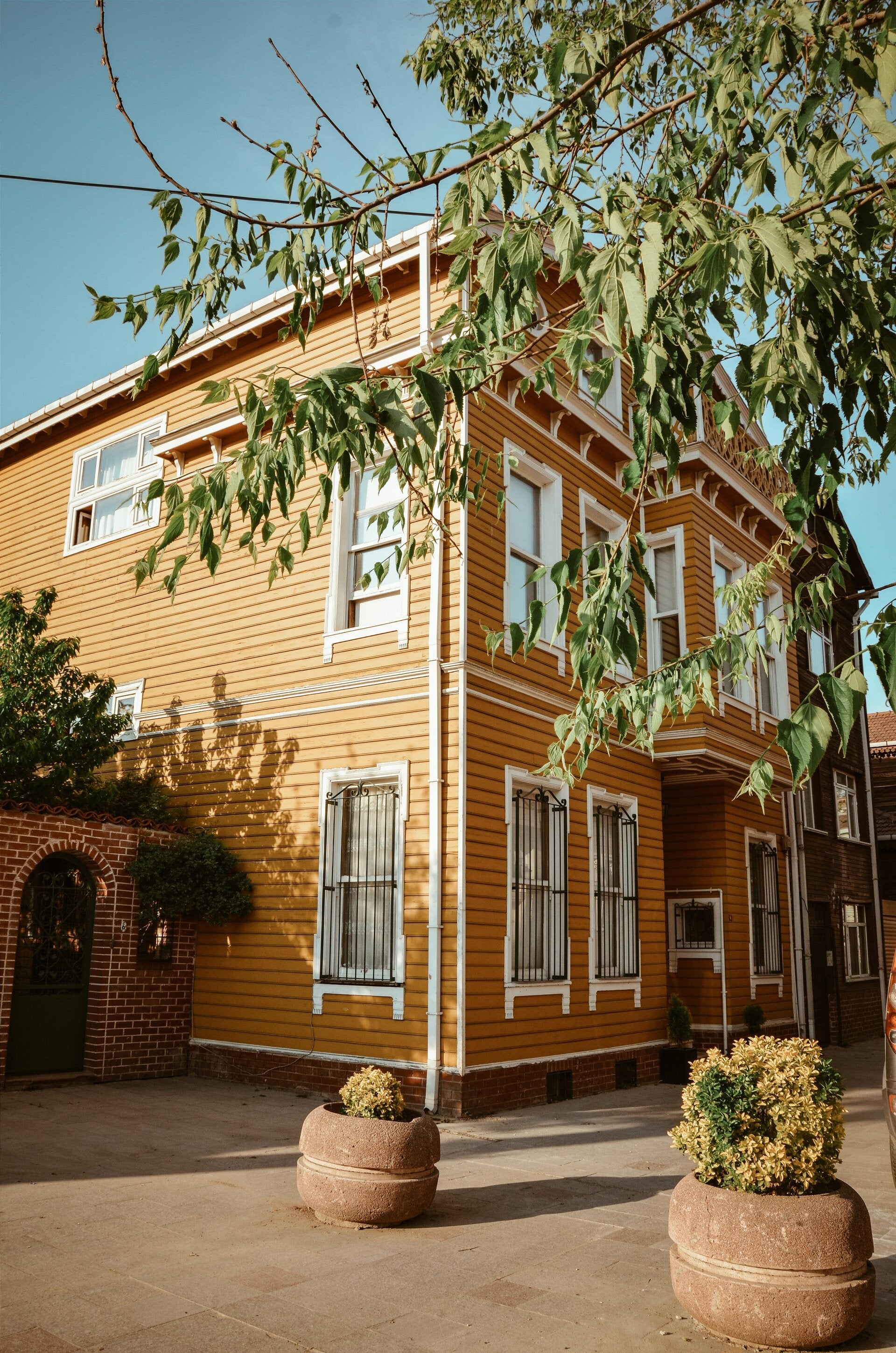 Flex Paintings in Concord, CA