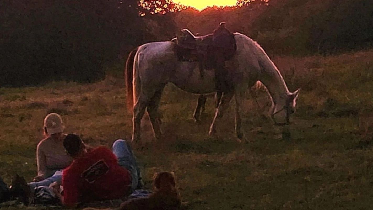 Chisholm Trail Rides in Quinlan, TX