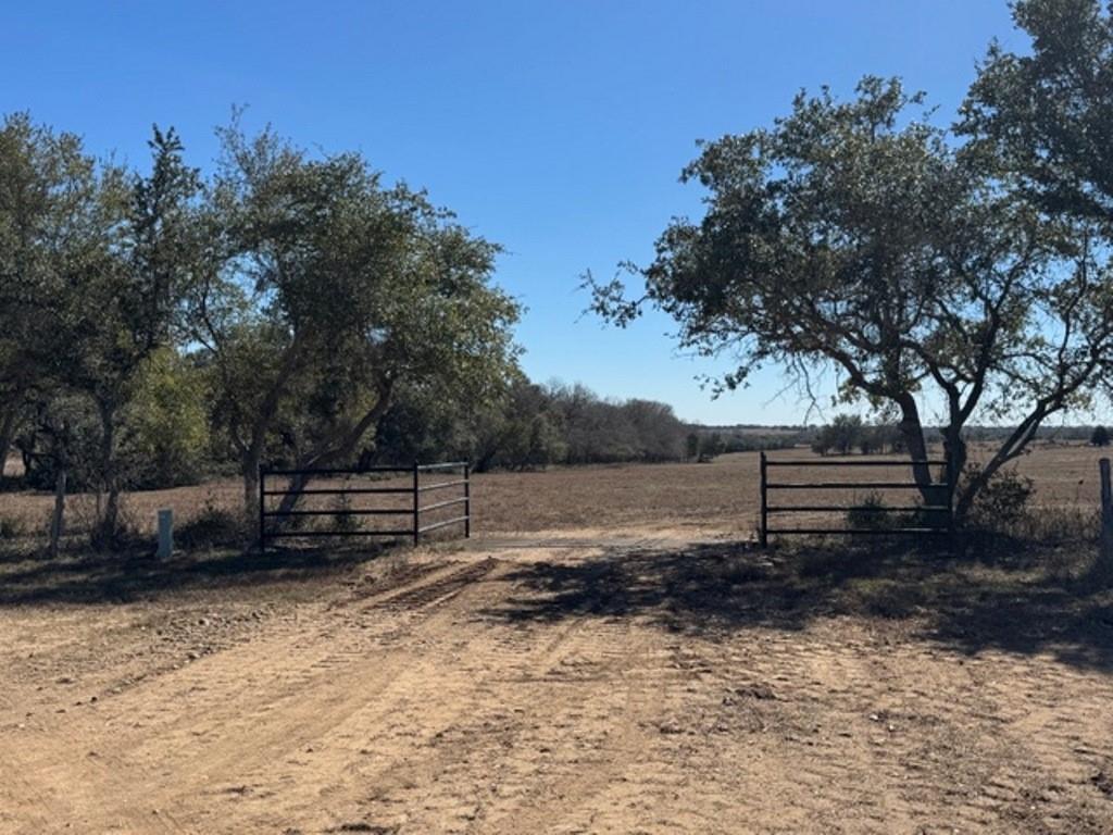 Carrie Lynch | Lifestyle Ranch & Home Group | Compass RE in Brenham, TX (6)