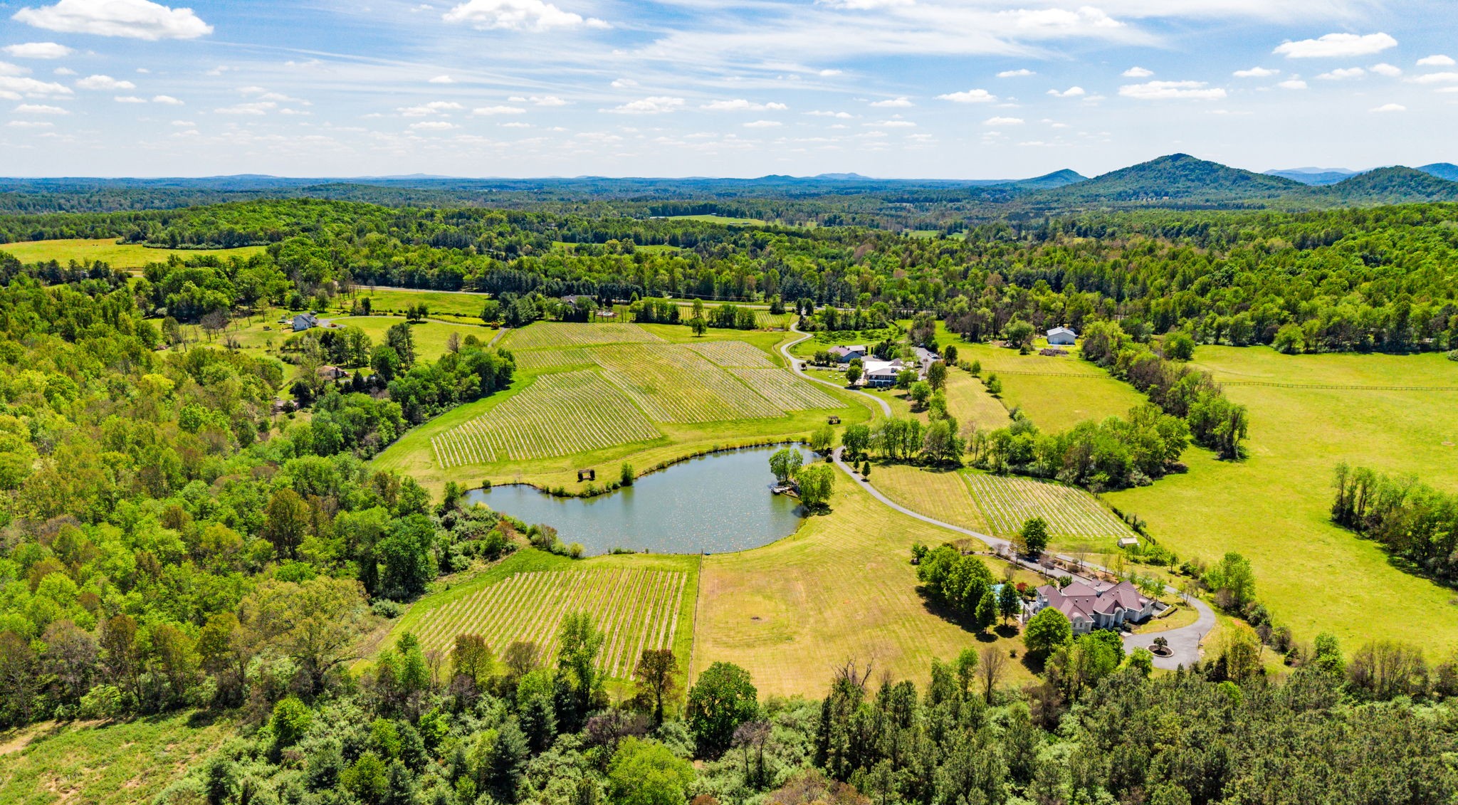 Washington Fine Properties - Alan Zuschlag, Realtor in Washington, VA (5)