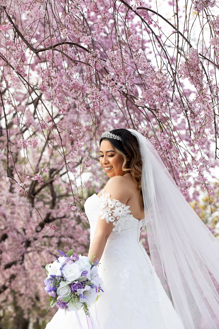 AC PIX STUDIO PHOTOGRAPHY/VIDEO SERVICES in Union City, NJ (5)