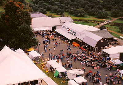 MacQueen Orchards in Holland, OH (3)