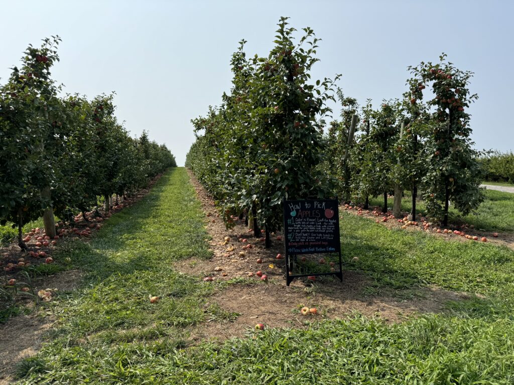 Baugher's Orchards, Farm & Bakery in Westminster, MD (4)