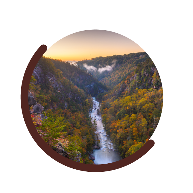 Gerrells CPA, LLC in Dawsonville, GA (5)