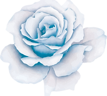 Bloomfield Nails & Spa of Greenfield in Southfield, MI (2)