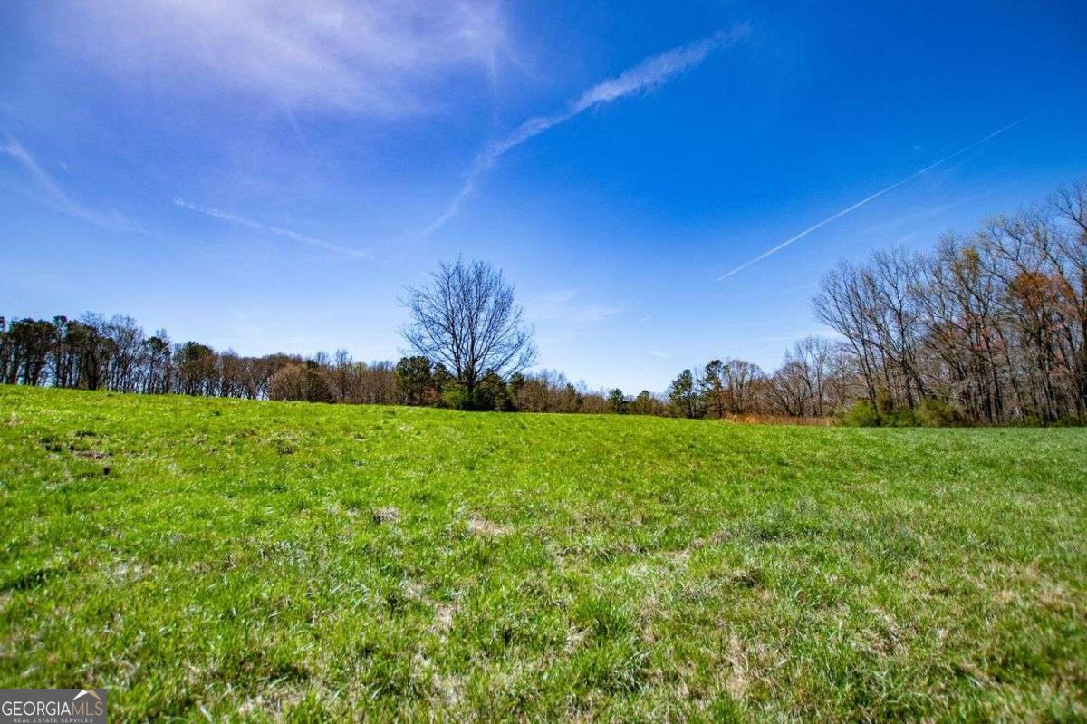Vicki Morris Real Estate, LLC in Carrollton, GA (6)