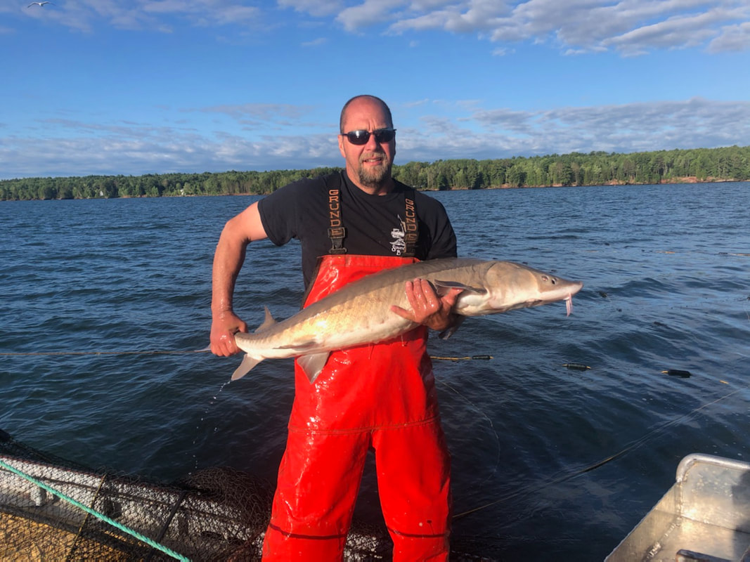 Hoop's Fish & Chips Dockside in Bayfield, WI (3)
