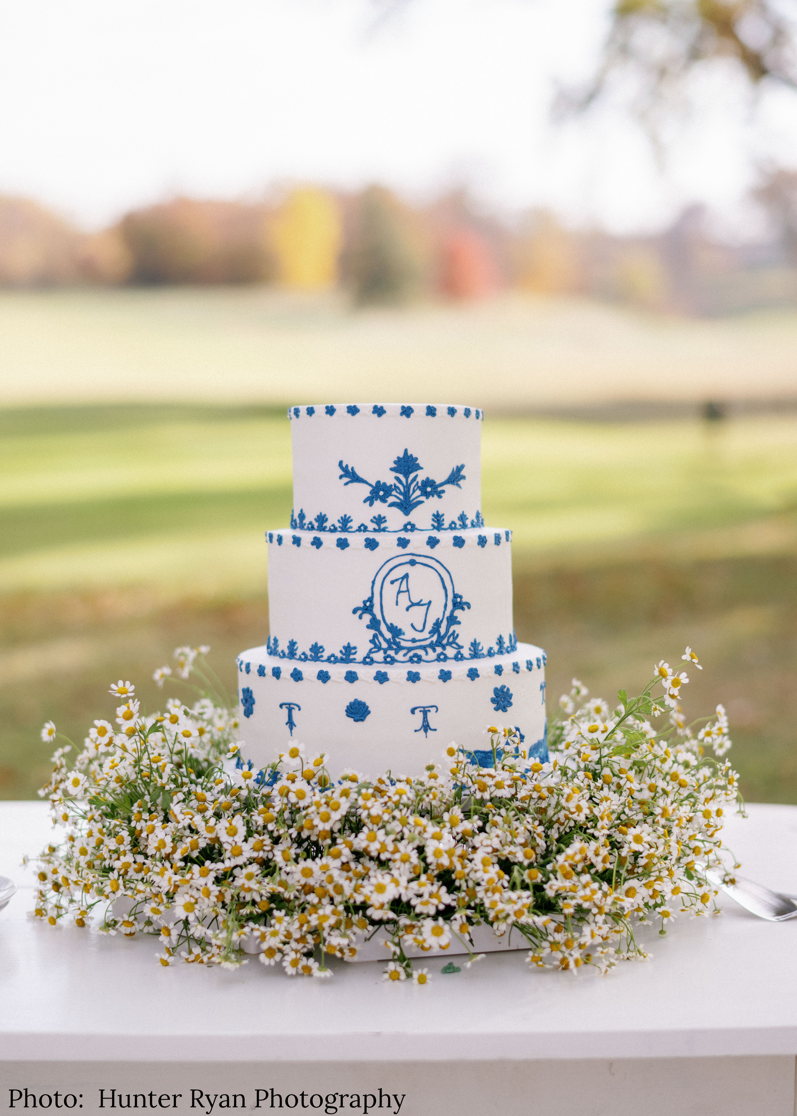 Tres Belle Cakes in Cincinnati, OH (2)