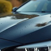 LMM Detailing Services in Winterville, GA (5)