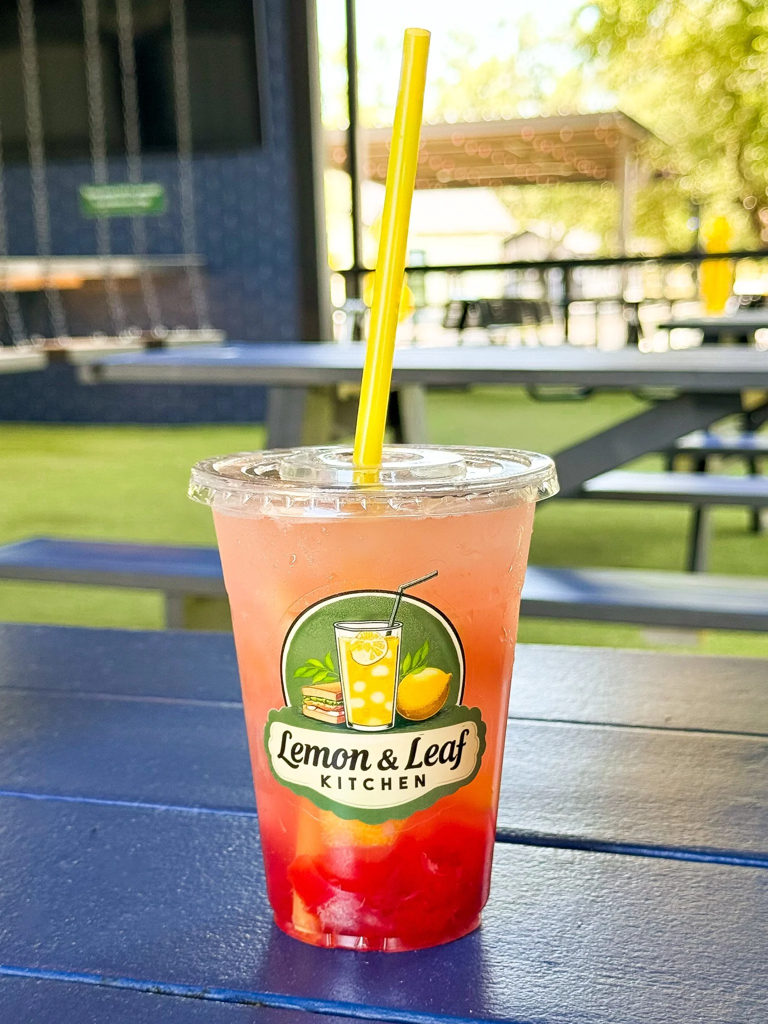 Lemon & Leaf Kitchen in Spring Branch, TX (5)