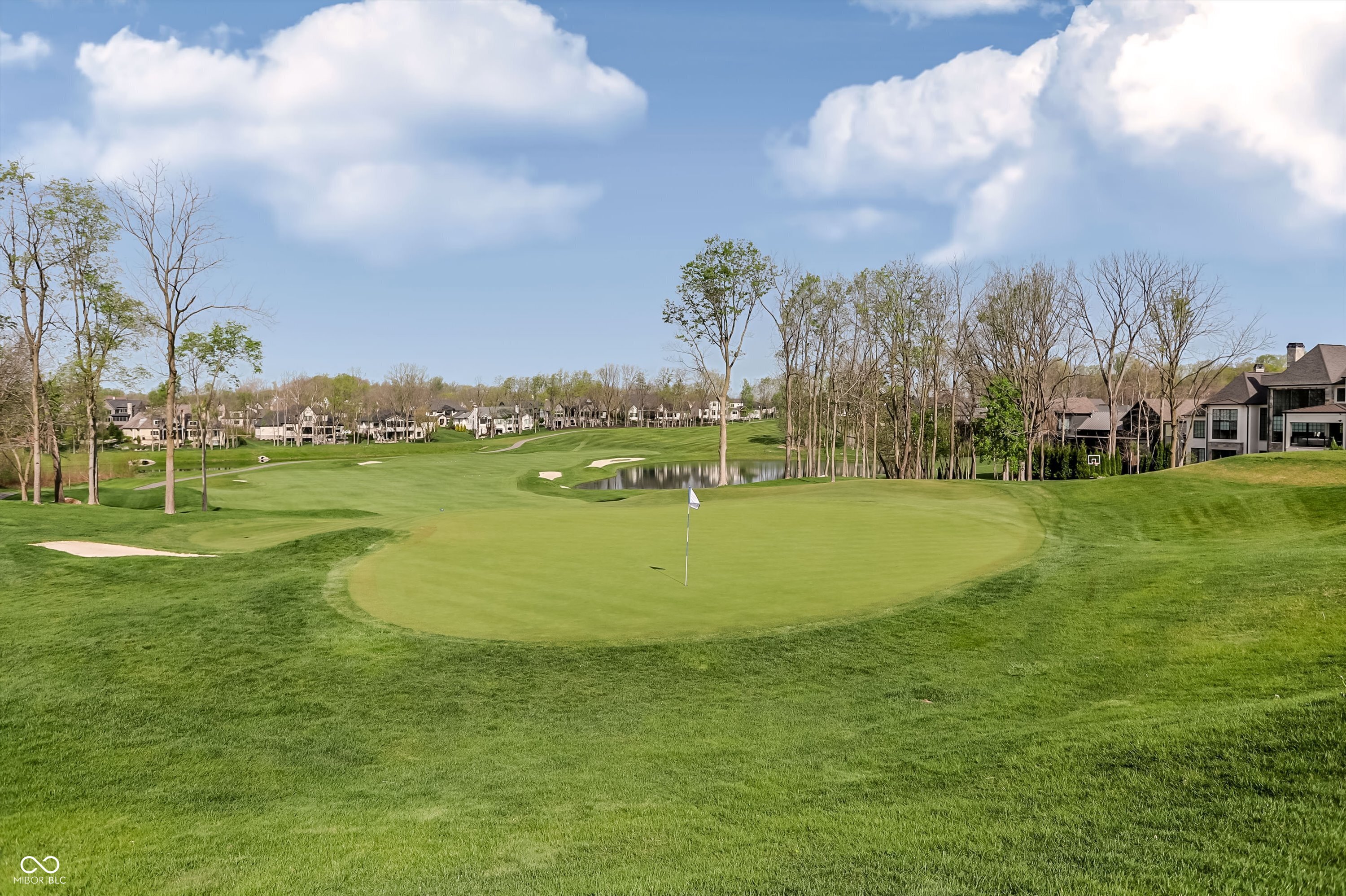 The Carrie Holle Group - Carmel Luxury Real Estate Sales - Compass in Carmel, IN (5)