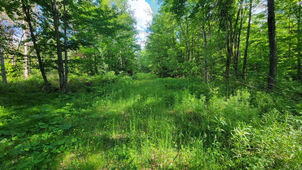 Wolf River Realty in Antigo, WI