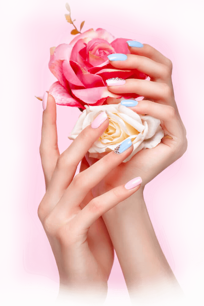 Blush Nail & Lash - best nail salon in schertz tx in Schertz, TX