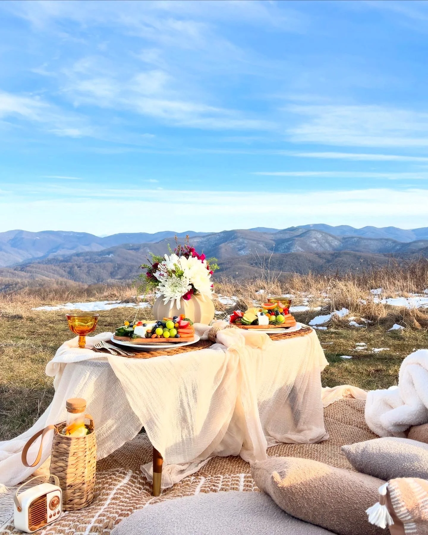 Parkway Picnics in Fairview, NC (2)