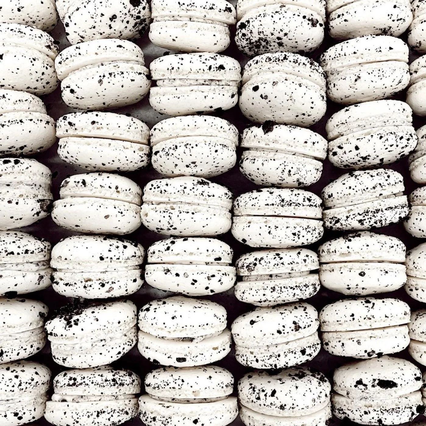 Black Twig Bakery in Wauwatosa, WI