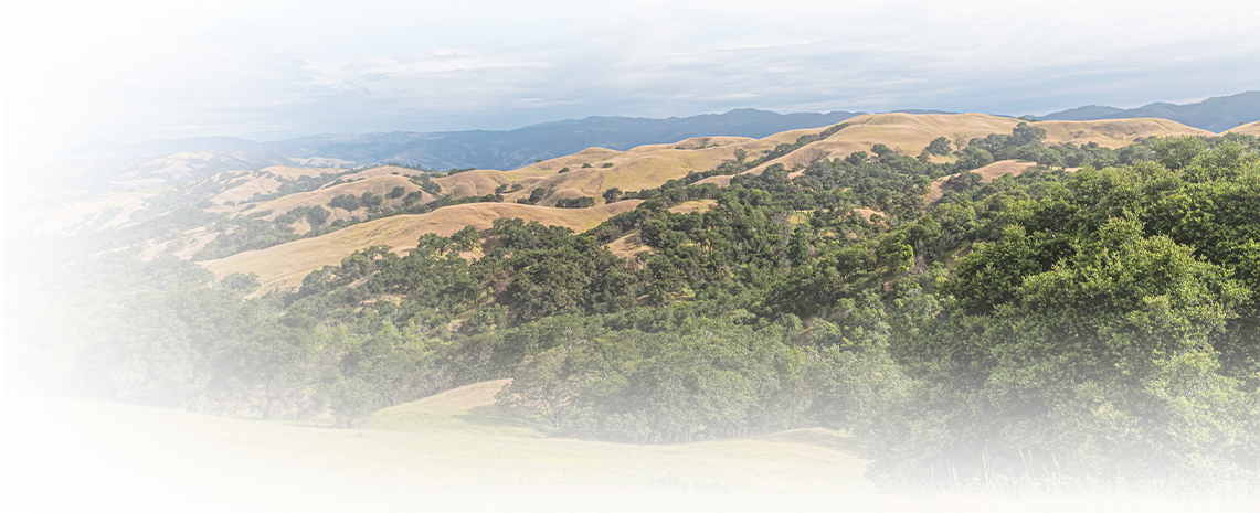 Abbey, Weitzenberg, Warren & Emery in Santa Rosa, CA