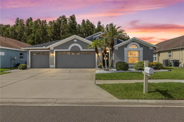 Onyx Bay Properties in Tampa, FL (4)