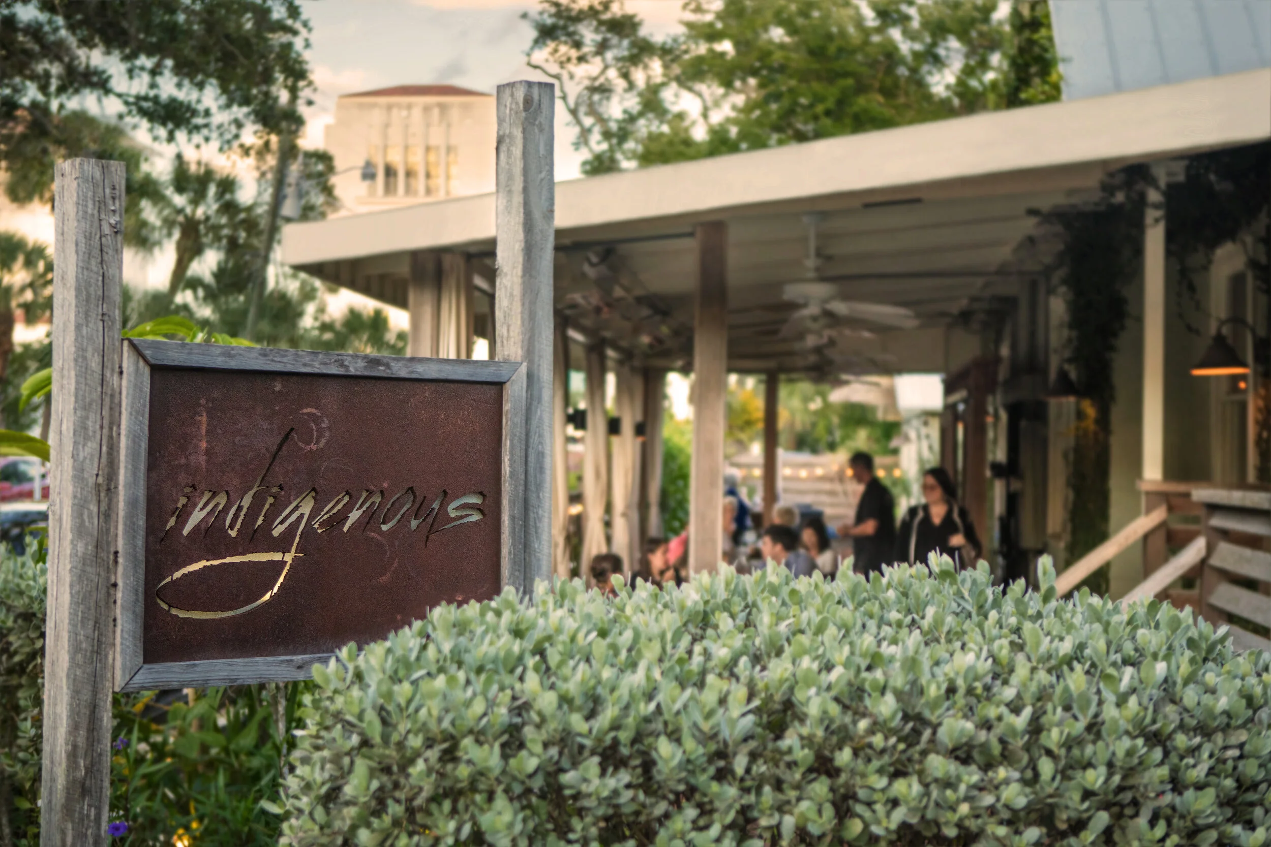 Indigenous Restaurant in Sarasota, FL (4)