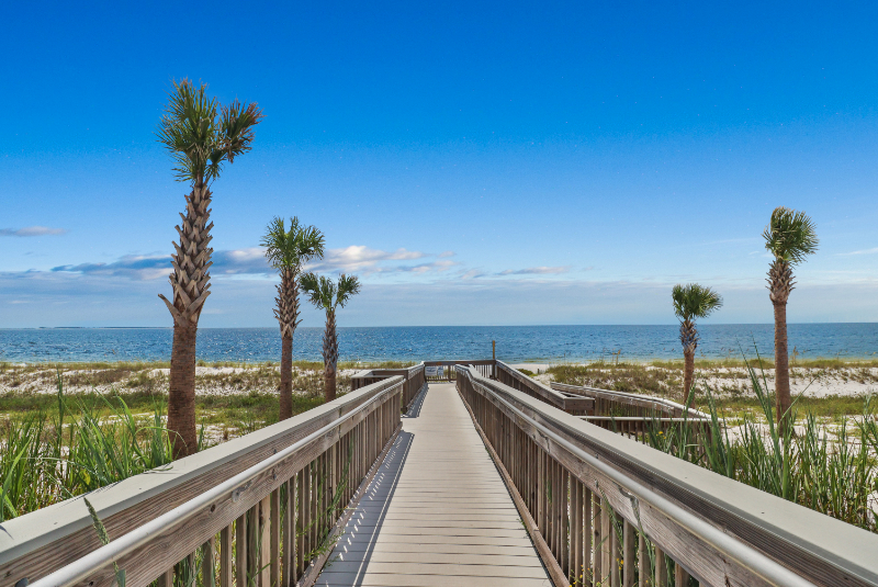 The Forehand Team in Port St Joe, FL (4)