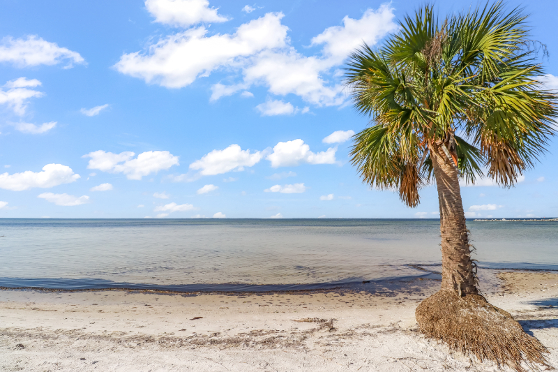 The Forehand Team in Port St Joe, FL (5)