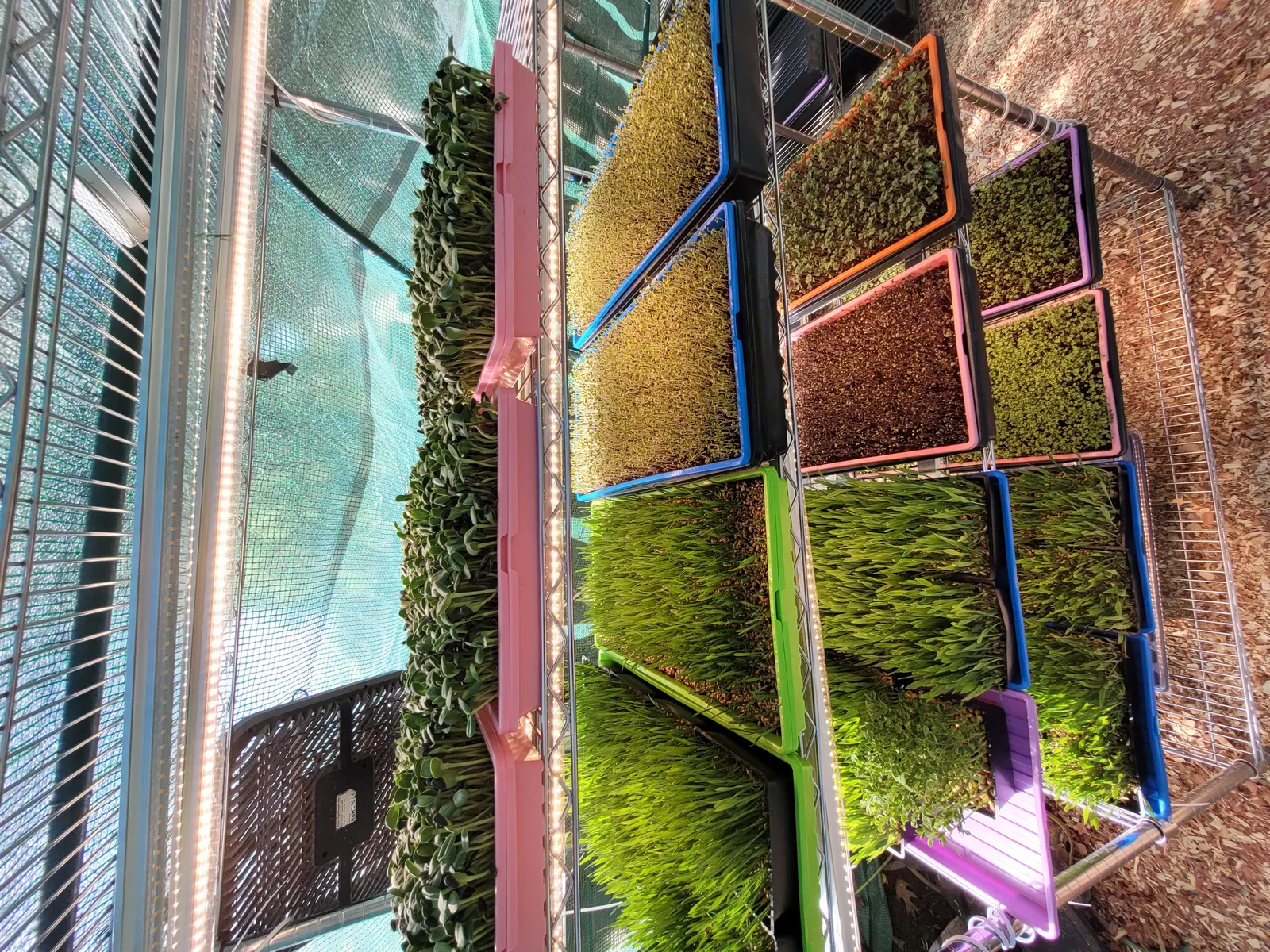 Microgreen FX in Schwenksville, PA