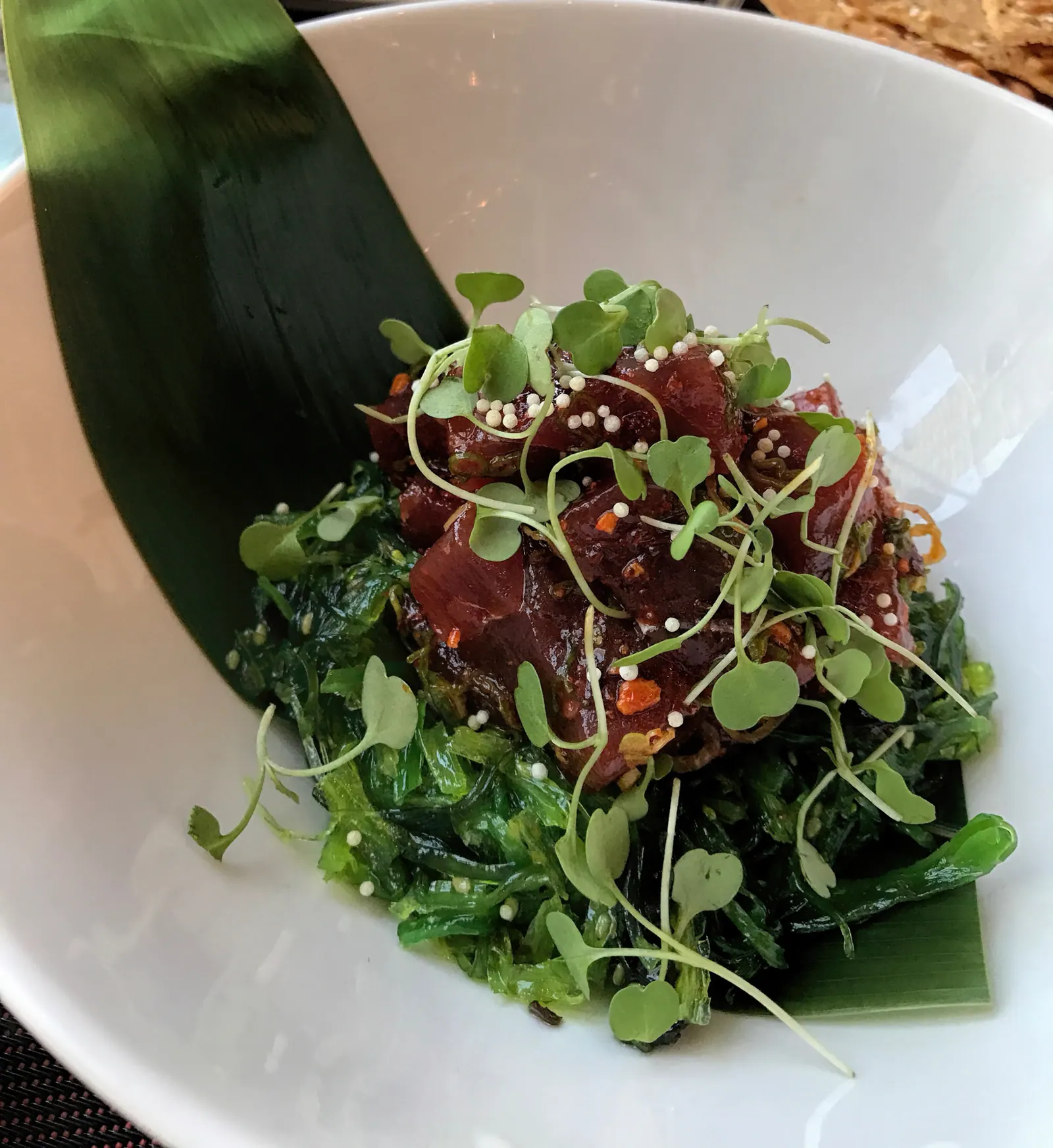 Microgreen FX in Schwenksville, PA (5)