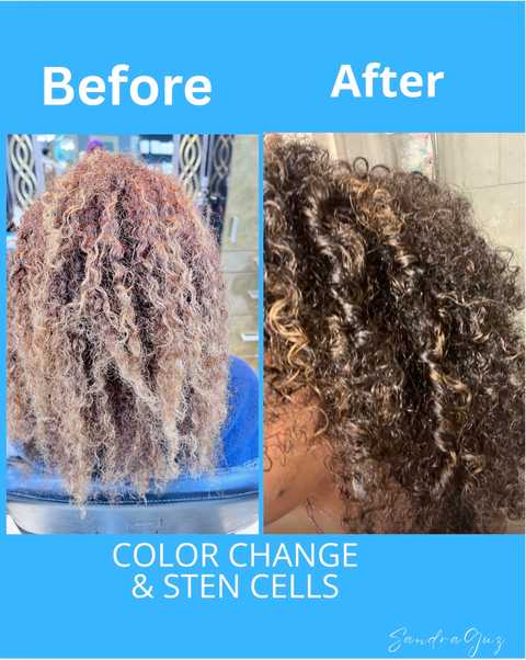 SandraGuz Frizz Specialist Dominican Mobile Salon in Boca Raton, FL (4)