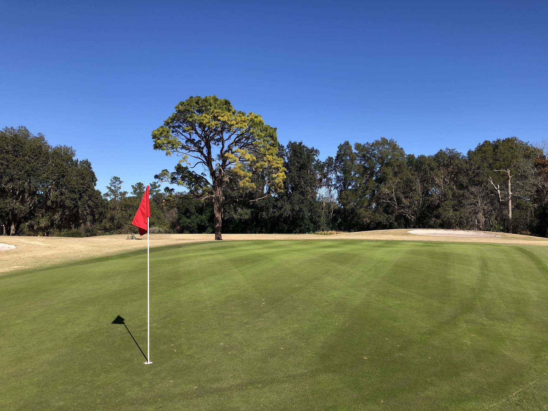 Team Renda | Sellstate Realty in Dunnellon, FL (3)